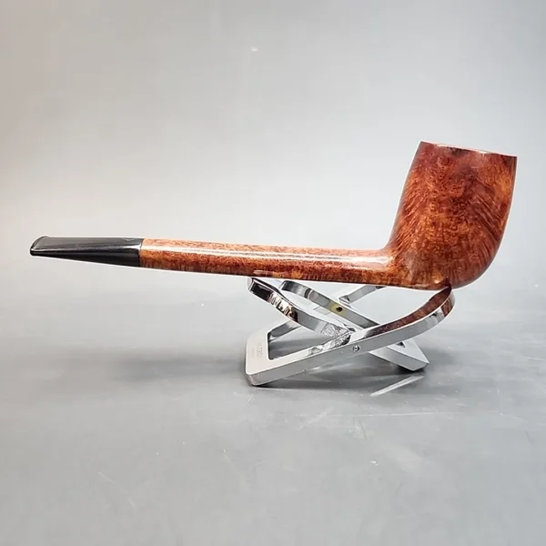 BBB Ultonia 503, Smooth Canadian, English Estates [SOLD OUT] - Image 6