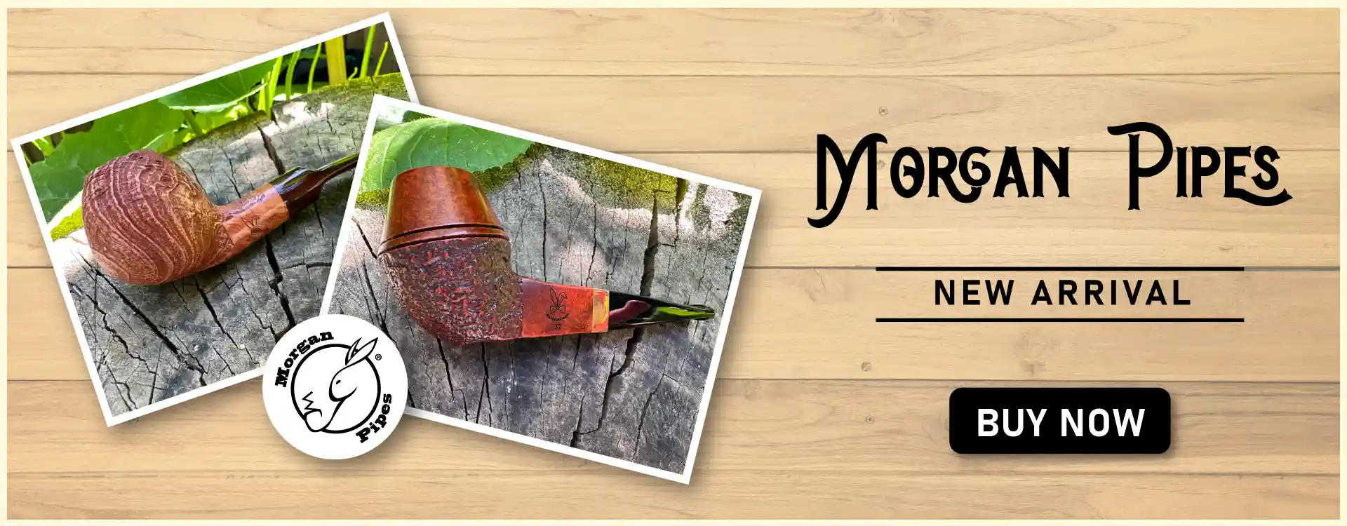 HERO 04 20230801-Morgan
