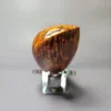 C-Pipe Smooth Asymmetric Fish Handmade Briar Pipe, New - Image 5