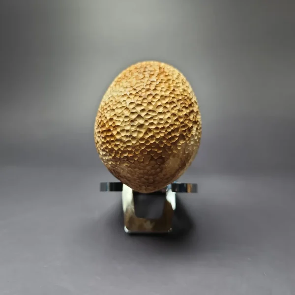 MBSD Meerschaum Silver Rustic Apple Reverse Calabash Block Meerschaum Pipe, New - Image 4