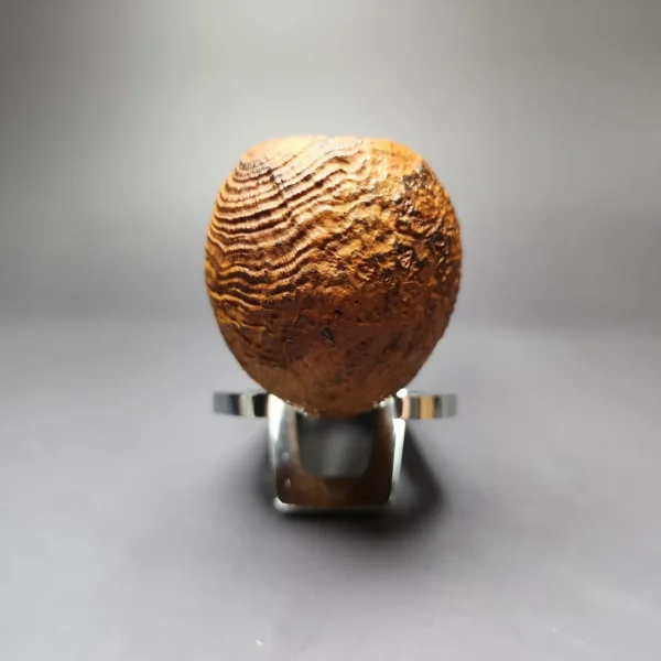 C-Pipe Contrast Sandblasted Apple w/ Reverse Calabash Briar Pipe, New - Image 3