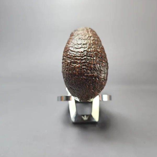 Ascorti Sabbia Di Oro Sandblasted Egg w/ Boxwood Estate Briar Pipe, Unsmoked - Image 3