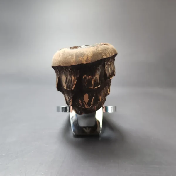 Nording Spruce Matte Partially Rusticated Freehand Estate Briar Pipe, Unsmoked - Image 4