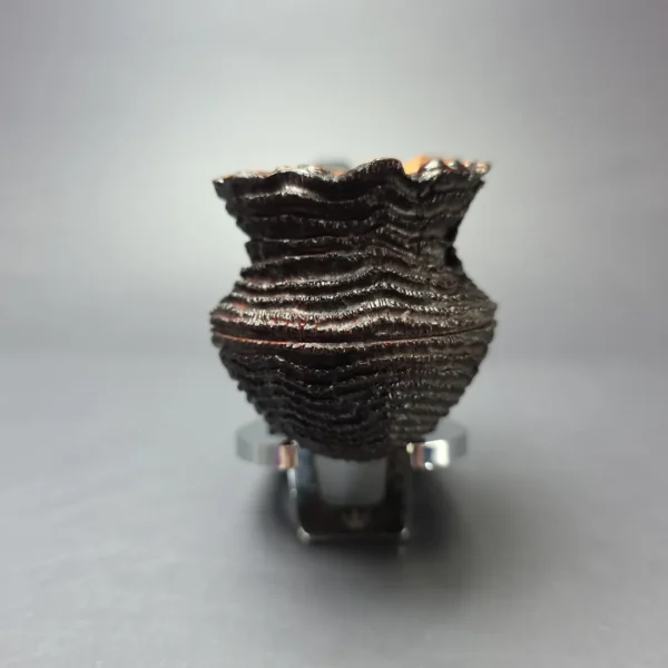 Walt Cannoy Cardinal House Morton Rusticated Amphora Handmade Briar Pipe, New - Image 3
