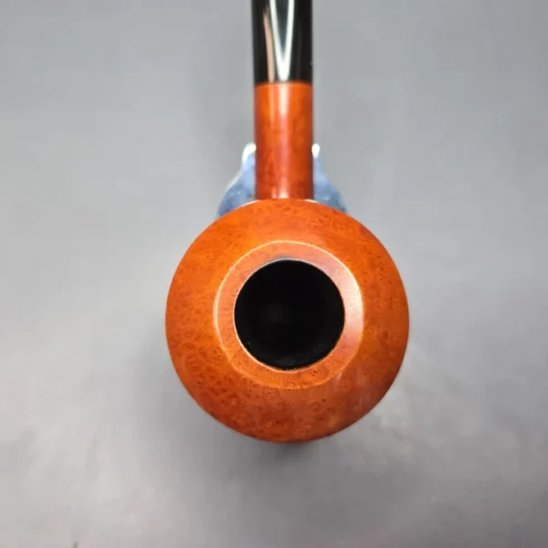 Age Bogelund (B) Smooth Hawkbill Dublin (Estate) - Image 6