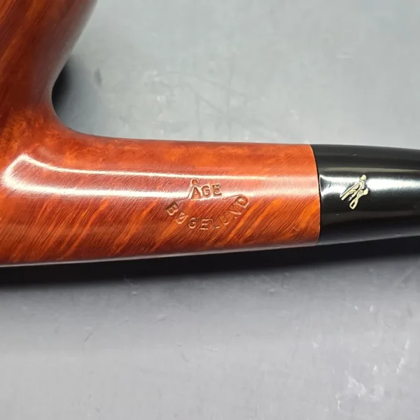 Age Bogelund (B) Smooth Hawkbill Dublin (Estate) - Image 11