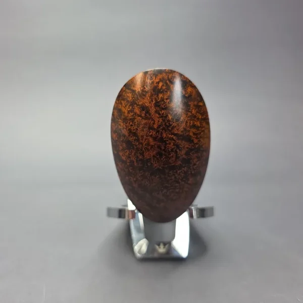 Tom Eltang 2020 Snail Grade Smooth Elephant's Foot Estate Briar Pipe, Danish Estates - Image 4