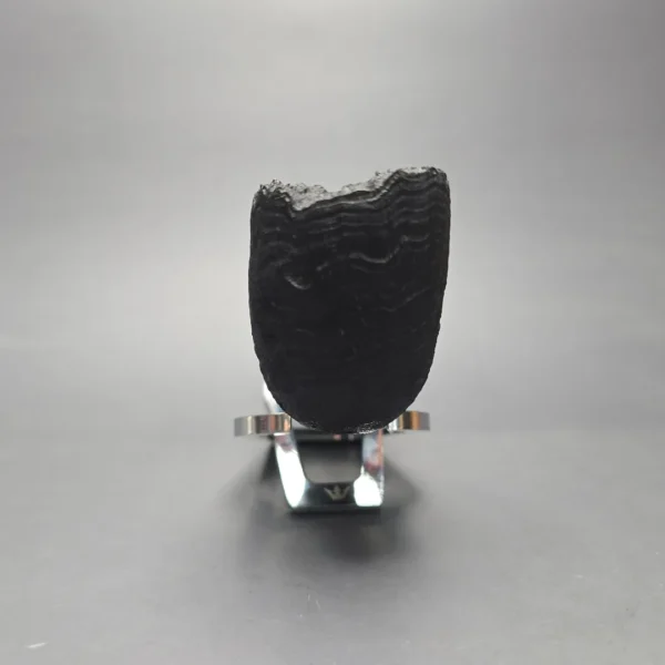 Peter Toth Black Sandblasted Freehand Handmade Briar Pipe, New - Image 3