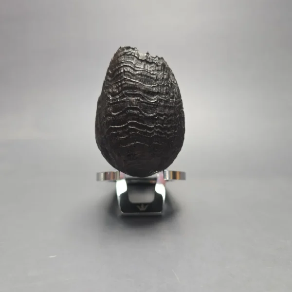 Peter Toth Black Sandblasted Blowfish Handmade Briar Pipe, New - Image 3