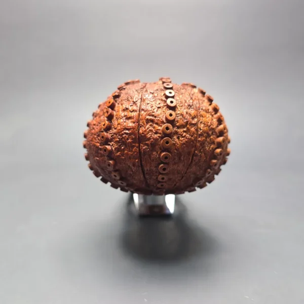 Northern Briars 2014 Magnum Sea Urchin Estate Briar Pipe, English Estates - Image 4