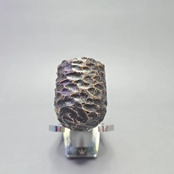 Peterson Derry 01 Rusticated Bent Pot (New) - Image 3