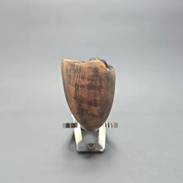 Nording Signature Black Grain Smooth Freehand (Unsmoked Estate) - Image 3