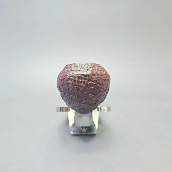 Sasieni 4 Dot Ruff Root 3 Sandblasted Bulldog (Estate) - Image 3