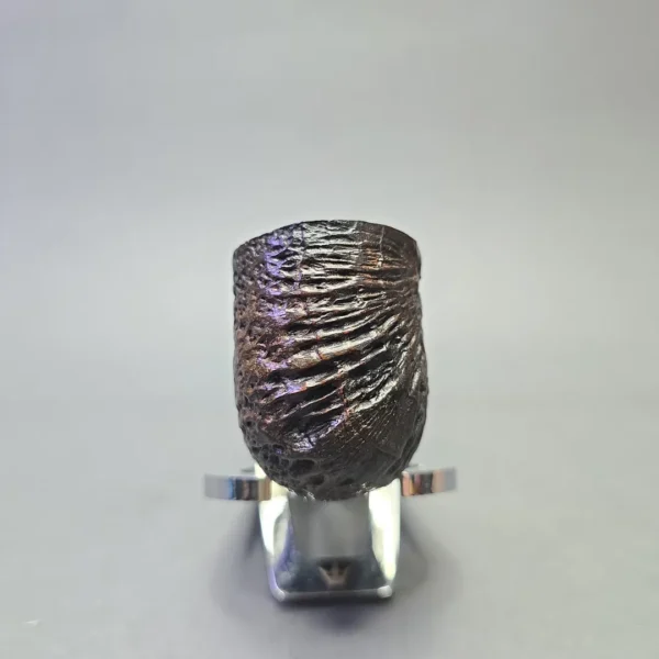 Peterson System Standard 301 Sandblasted Bent Pot with Nickel (Estate) - Image 3