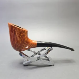 Regina Scarlatta (4 Crown) Smooth Hawkbill (Estate) - alternate view