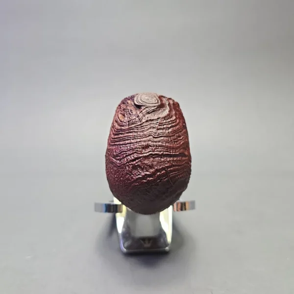MBSD Briars by Vitale Vintage Sandblasted Brandy with Olivewood (New) - Image 3