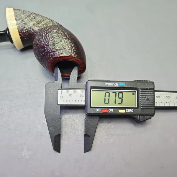 J. Mouton Partially Sandblasted Fish with Fossilized Whale Spine (New) - Image 11